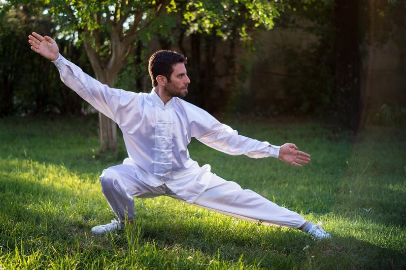 Tai Chi fan